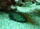 DSC04312.JPG