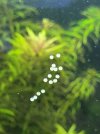 20220622_093907.jpg