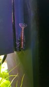 20220619_162446.jpg