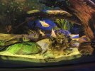 IMG_20220629_210135.jpg