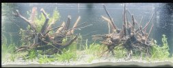 96B996E3-1D6D-4E21-965C-9094A2C890D6.jpeg
