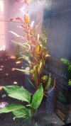 20220814_104623.jpg