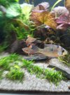 IMG_20220828_105718.jpg
