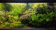 PXL_20220901_161702716.jpg