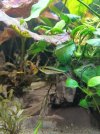 IMG_20220904_201241.jpg