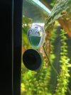 IMG_20220905_205828.jpg