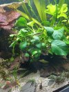 IMG_20220908_185303.jpg