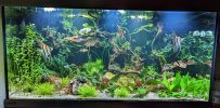 PXL_20220918_175615096~2.jpg
