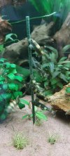 20220807_135911.jpg