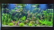 PXL_20220924_182119133~2.jpg