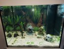 2 Aqua 2407.jpg