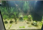 5 Aqua 0308.jpg