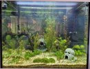 14 Aqua 0610.jpg