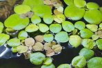 20221009_075457.jpg