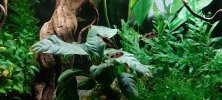 20221021_203048.jpg