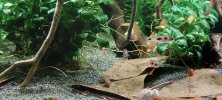 20221021_203044.jpg