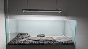 PXL_20221110_130826999.jpg