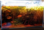 PXL_20221211_172201619~2.jpg