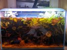 PXL_20221029_180246839.jpg