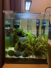 Aquarium_2.jpg