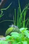 VideoCapture_20230111-174942.jpg