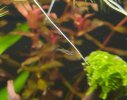 VideoCapture_20230130-101923.jpg