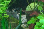 VideoCapture_20230203-175505.jpg
