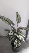 PXL_20230204_145128557.jpg