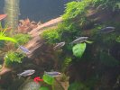 VideoCapture_20230208-135926.jpg