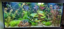 PXL_20230226_190008308~2.jpg