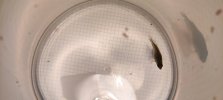 IMG_20230409_213024.jpg