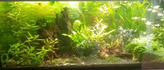 20230510_183742.jpg
