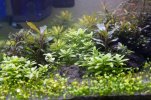 IMG_0654.jpg IMG_0654.jpg
