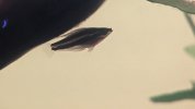PXL_20230520_165518211.jpg