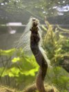 IMG_6171.jpeg