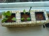 DSC01110test80.JPG