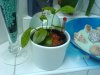 DSC01109test80.JPG