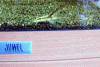Fisch2.gif