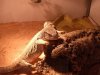 pic9.asp.jpg