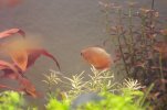 IMG_0754.jpg