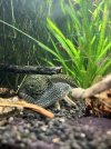 IMG_3643.jpeg