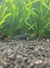 IMG_3791.jpeg