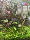 IMG_0954.jpeg