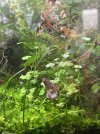 IMG_0953.jpeg