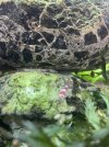 IMG_0943.jpeg