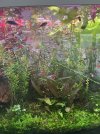 IMG_0970.jpeg