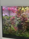 IMG_0969.jpeg