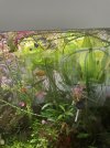 IMG_0968.jpeg