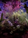 IMG_6370.jpeg