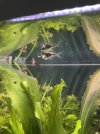 IMG_6428.jpeg